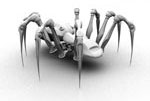 Spider logo, more or less